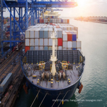 Logistics Companies Forwarding Agent Sea Freight International Rates China Sea Shipping To Canada